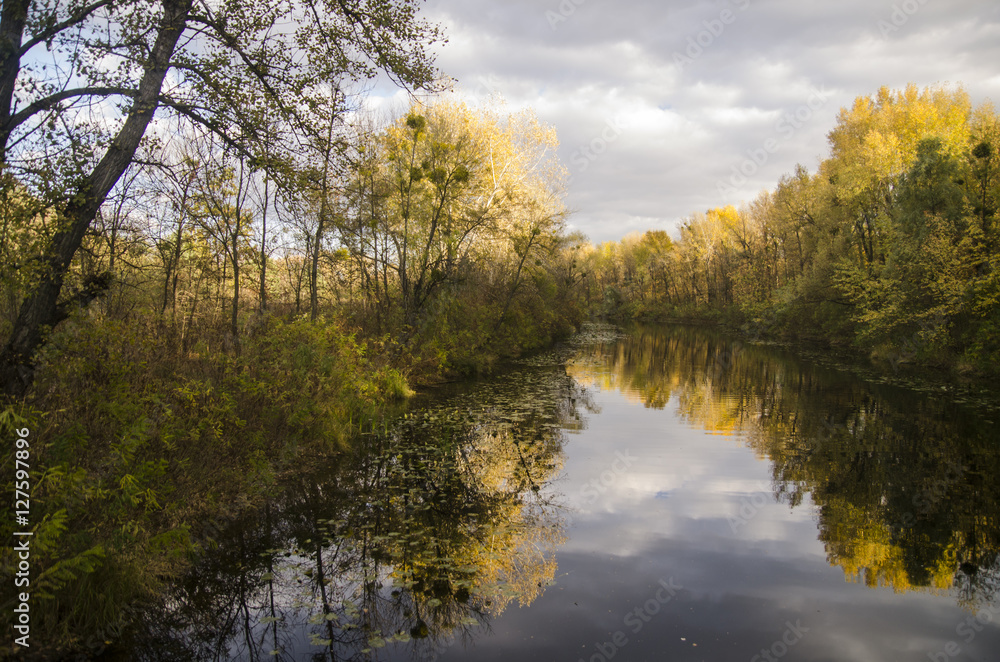 Reflection of autumn forest in a lake