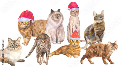 Collection of Christmas cats: white, brown and red cats with hats Santa, with green and blue eyes, lying and standing on white background, watercolor painting, animal illustration, concept