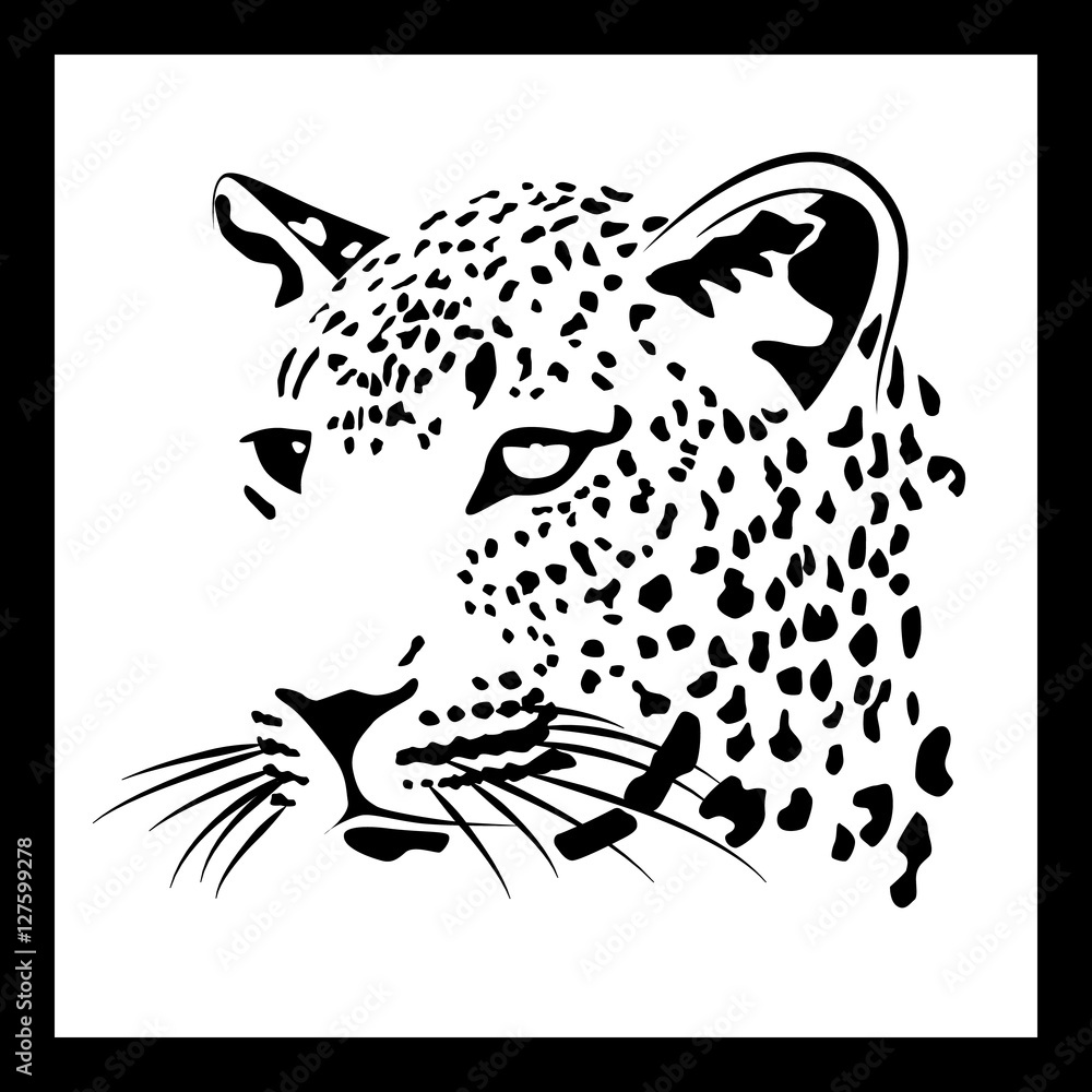 Fototapeta premium muzzle of a leopard