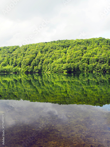 Reflection of the forest in the river in France