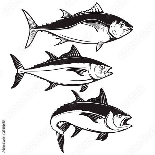 Set of tuna fish icons isolated on white background. Design elements for logo, label, emblem, sign, badge. Vector illustration.