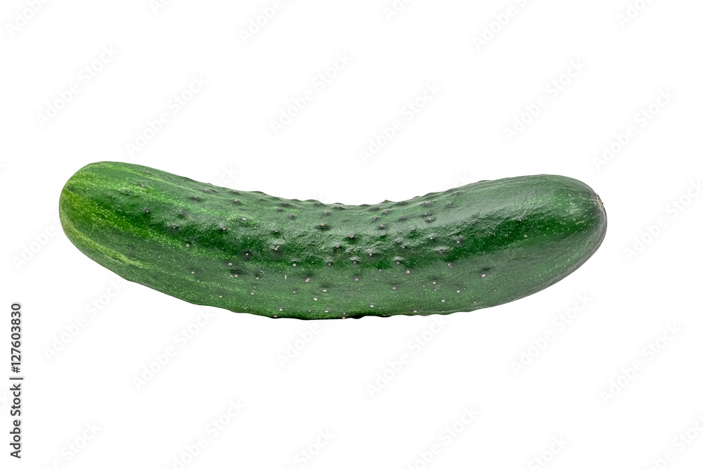 cucumber on white background isolated cucumber on white background isolated