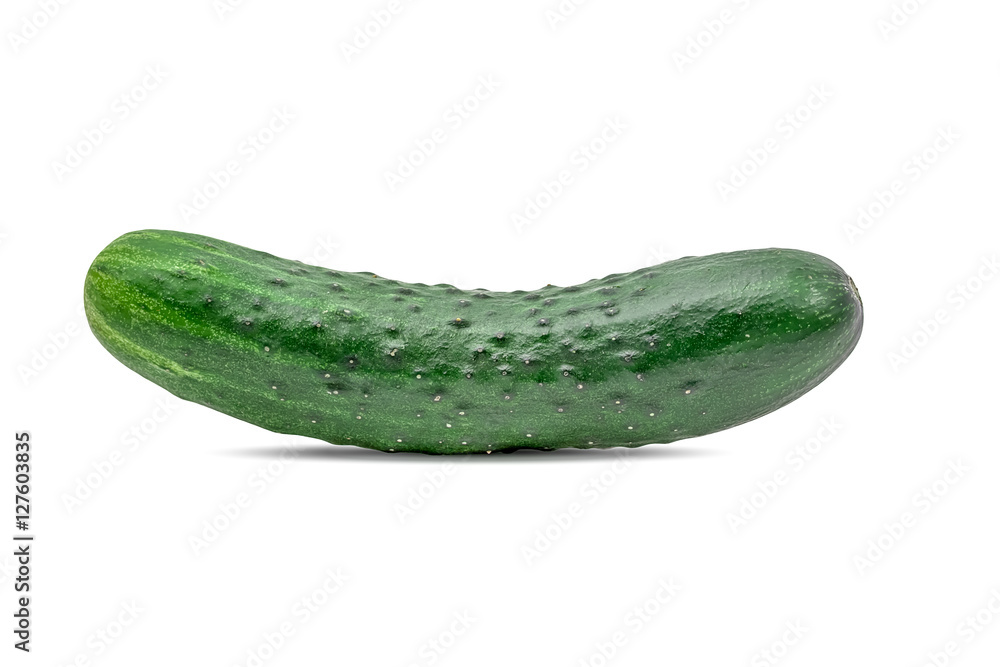 cucumber on white background cucumber on white background