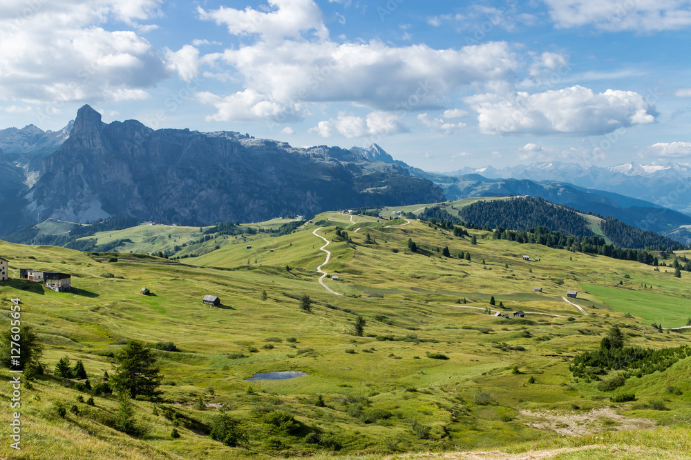 Fototapeta premium Almwiesen-Panorama