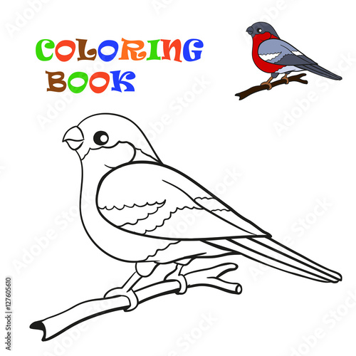 Coloring book, bird bullfinch