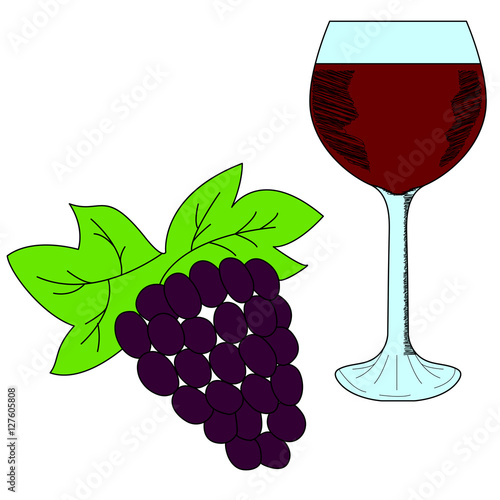 Bunch of grapes and wineglass. Hand drawn illustration in sketch style.