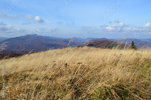 Fototapeta Naklejka Na Ścianę i Meble -  bieszczady