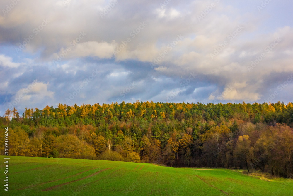 Autumn field and forest in Czech Republic.