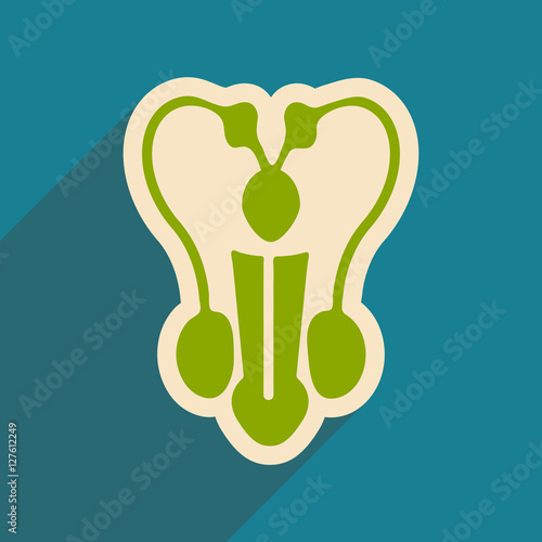 Icon of man's penis in flat style