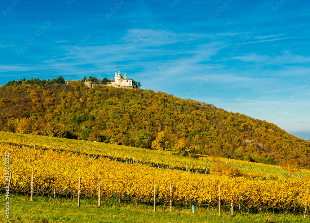 Burg mit Kirche auf Berg mit Weingarten in Herbst