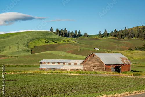 Palouse farm and barn with green fields