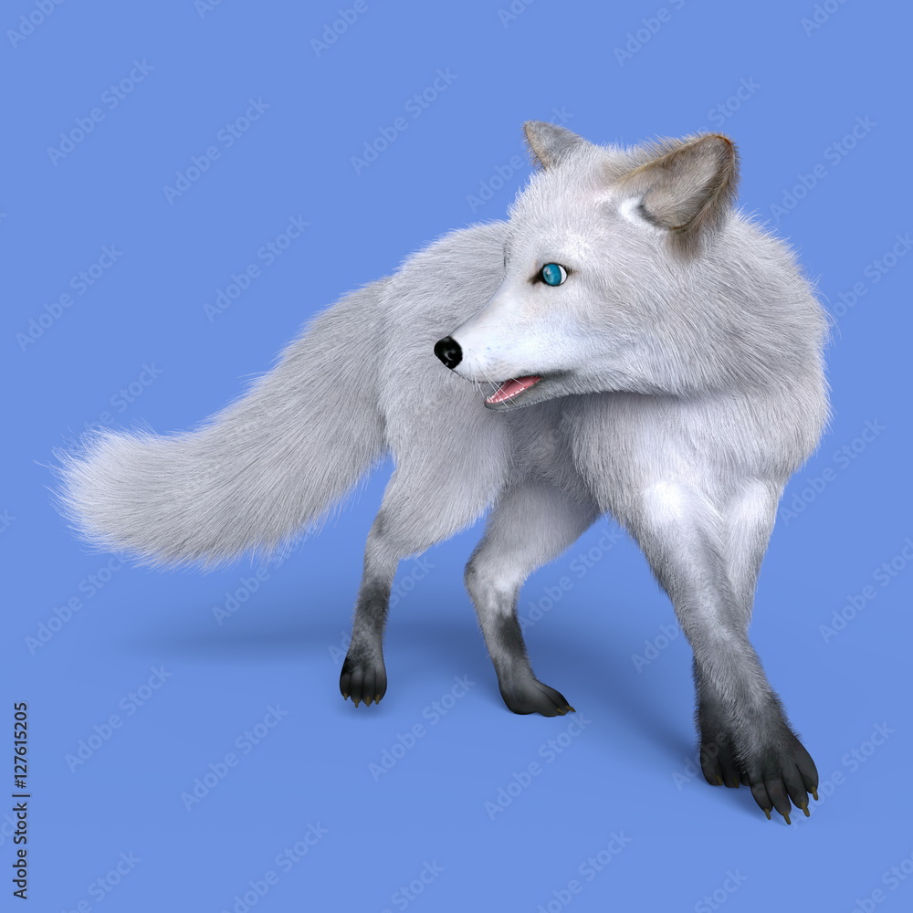 Obraz premium キツネ