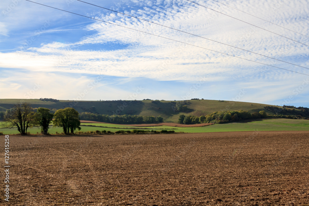 Sussex Farmland in Autumn