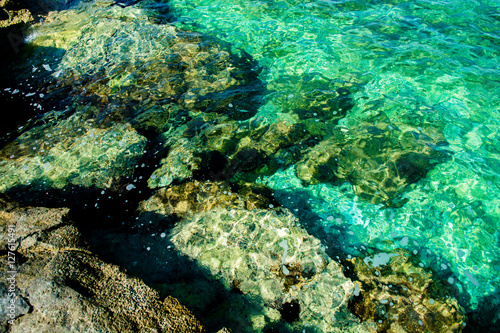 Klares Gr  nes Wasser an der K  ste von Kroatien