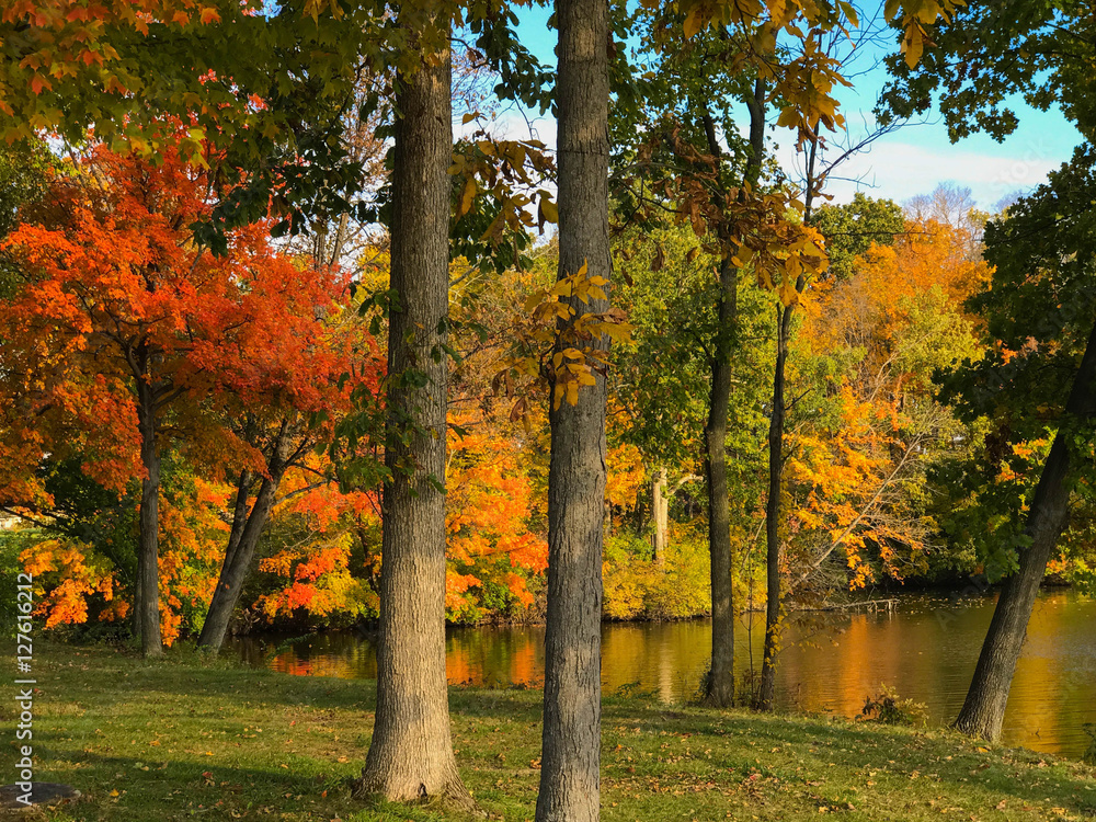 Fototapeta premium Shaker Run