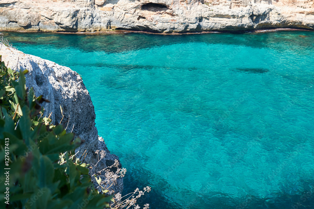 Sea cove with turquoise water landscape