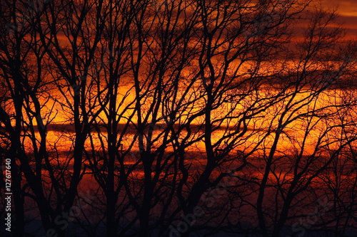Ognisty zachód słońca między gałęziami drzew © Sebastian Janas