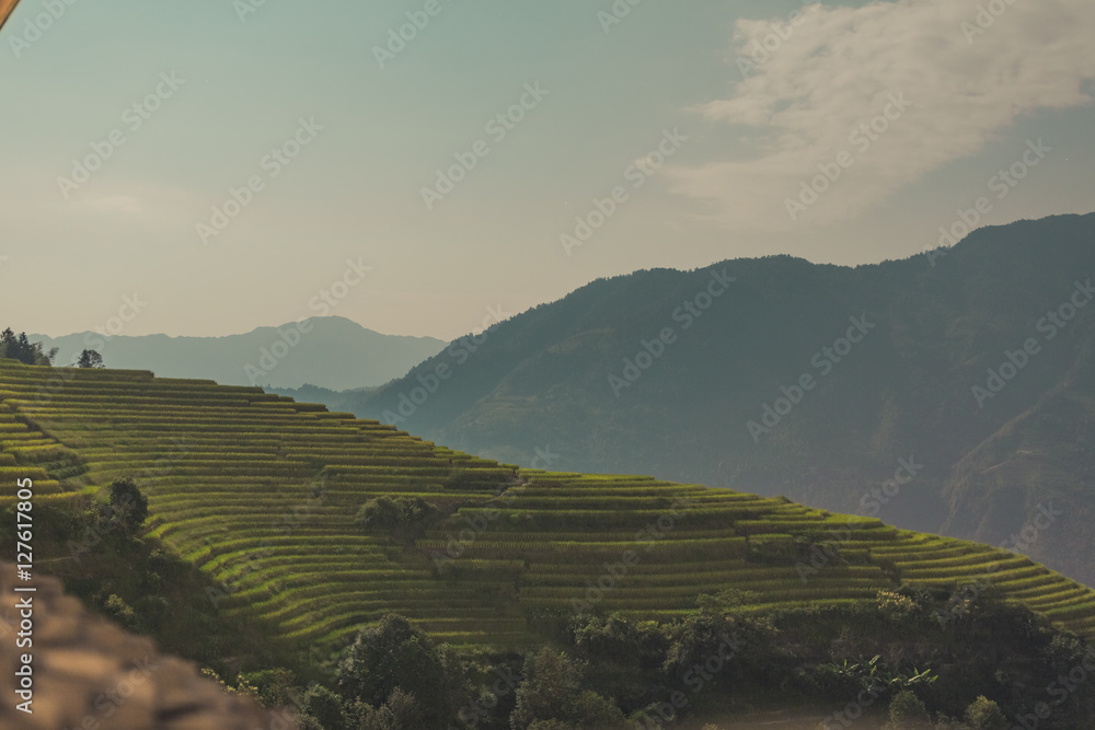 Top view or aerial shot of fresh green and yellow rice fields.Longsheng or Longji Rice Terrace in Ping An Village, Longsheng County, China.