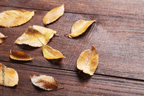 Autumn leaf on brown wooden table