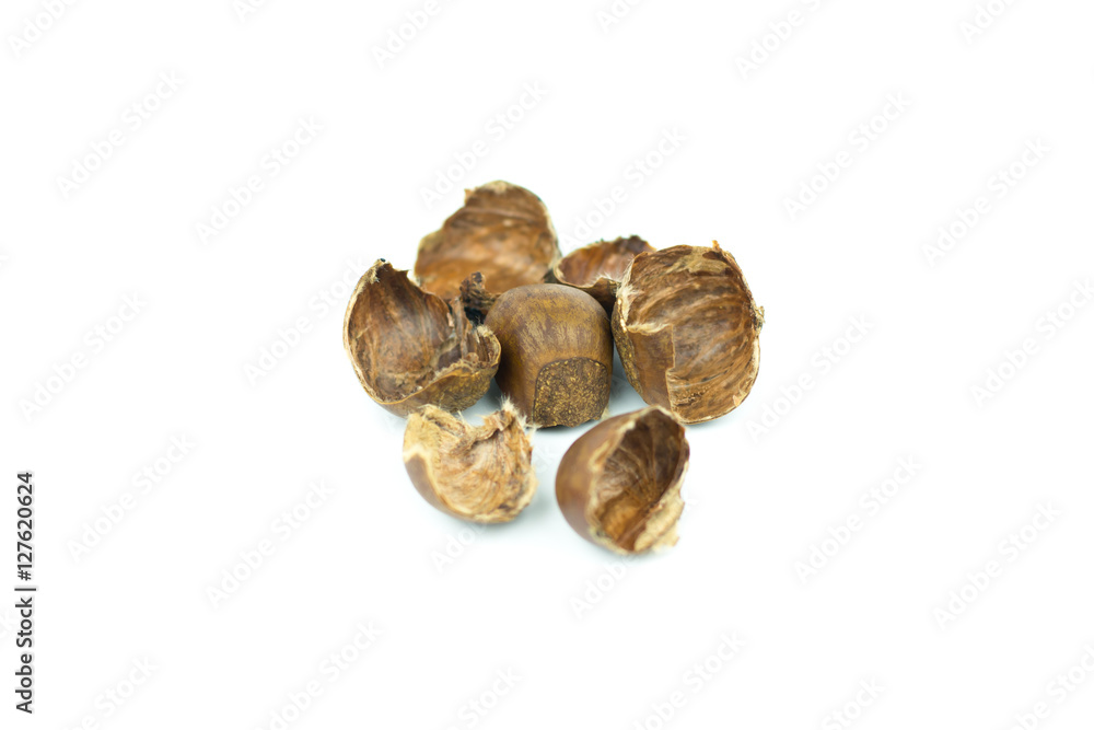 chestnuts shell isolated on white background chestnuts shell isolated on white background