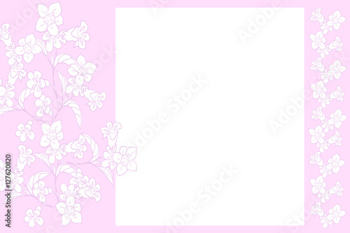 Wallpaper Mural White flower on pink background card with place for text. Torontodigital.ca