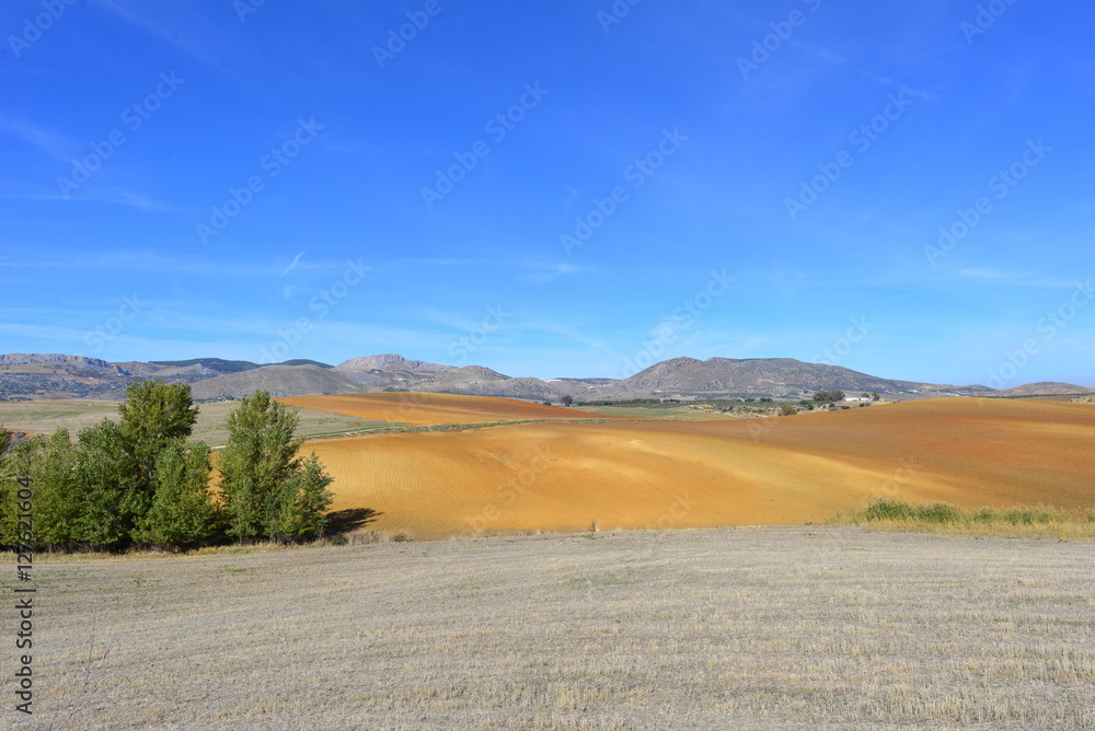 Spanien Anadalusien Ackerland