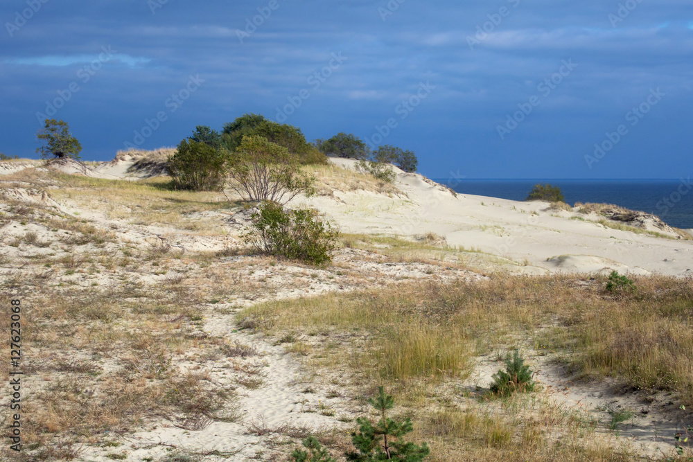 Sand dunes of the russian part Curonian Spit in autumn. It is a 98 km long curved sand-dune spit that separates the Curonian Lagoon from the Baltic Sea coast. It is a UNESCO World Heritage Site.