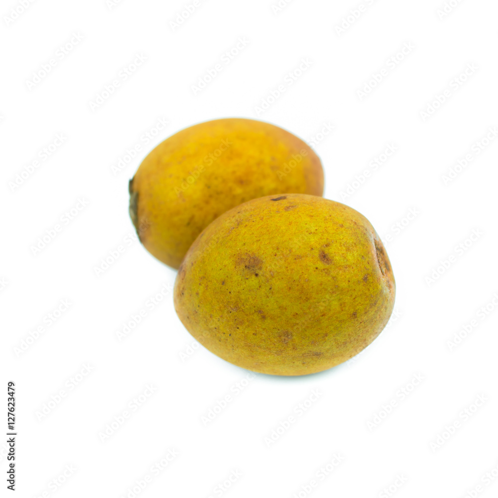 Sapodilla isolated on the white background Sapodilla isolated on the white background