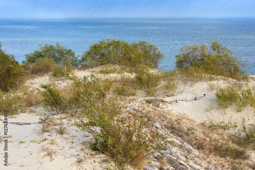 Sand dunes of the russian part Curonian Spit in autumn. It is a 98 km long curved sand-dune spit that separates the Curonian Lagoon from the Baltic Sea coast. It is a UNESCO World Heritage Site.