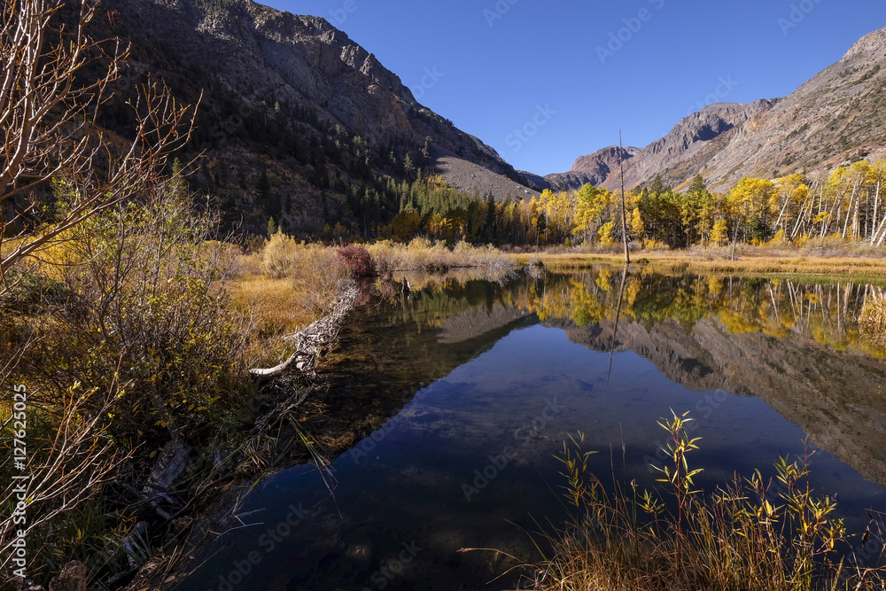 Fototapeta premium Beaver Pond near Lundy Lake