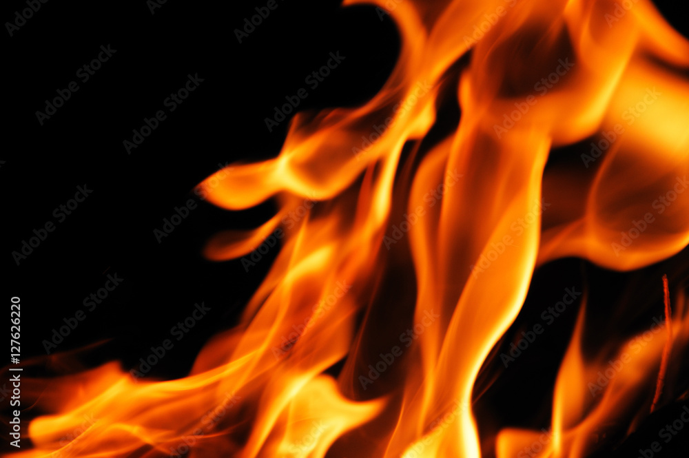 burning fire flame on the black background burning fire flame on the black background