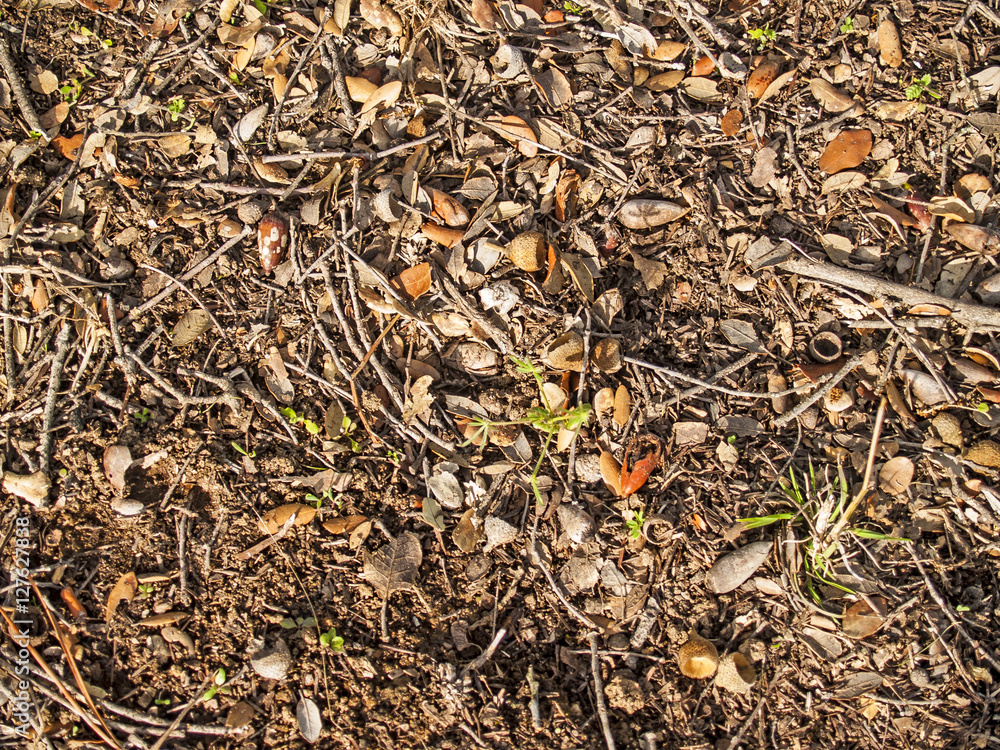 Natural texture of leaves on soil Natural texture of leaves on soil
