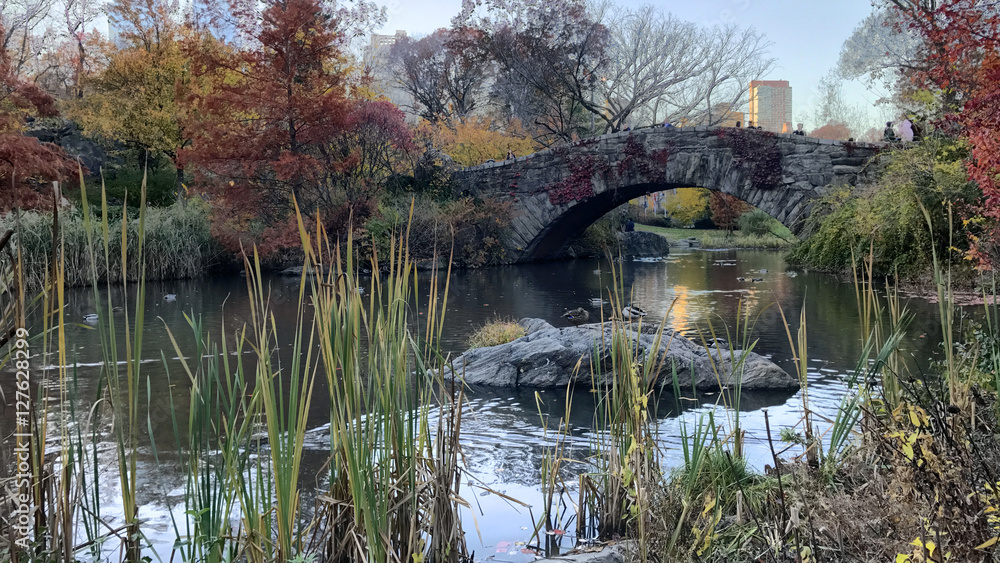 Picture Perfect Bridge and Pond