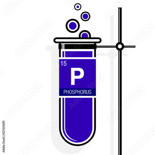 Phosphorus symbol on label in a violet test tube with holder. Element number 15 of the Periodic Table of the Elements - Chemistry