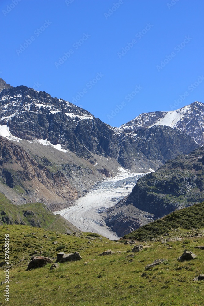 Gletscherzunge 