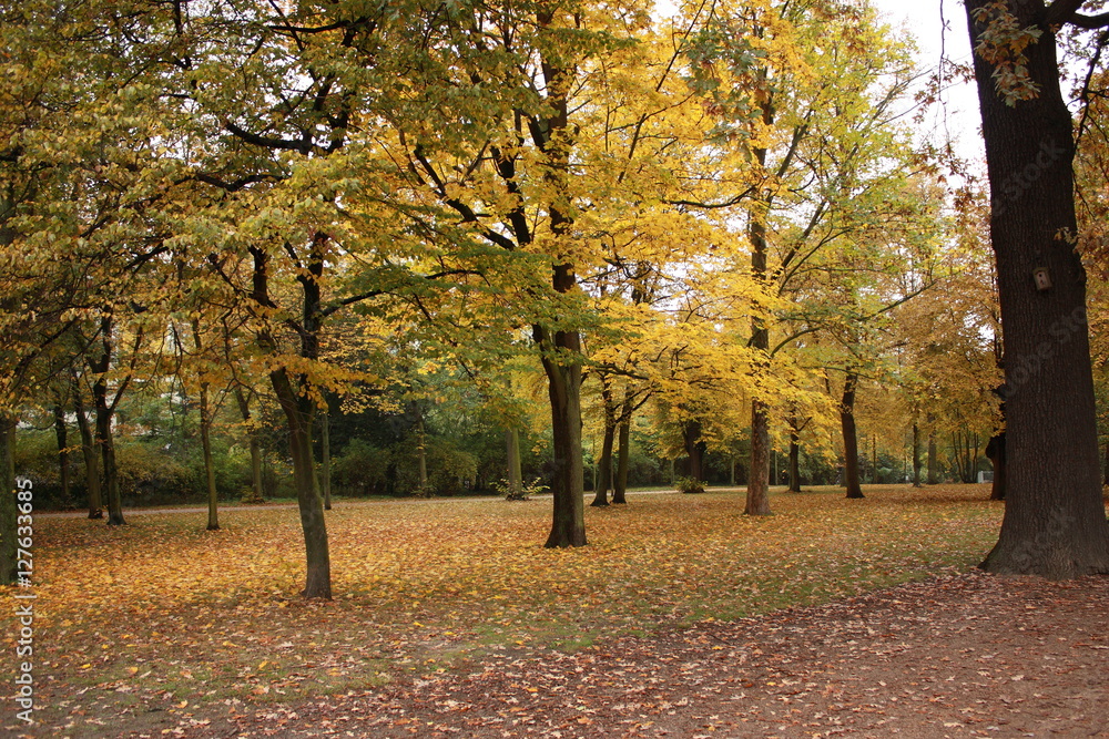 Berlin, park in autumn