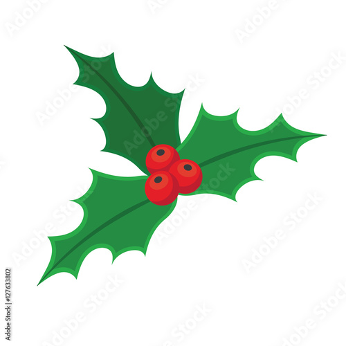Holly berry Christmas