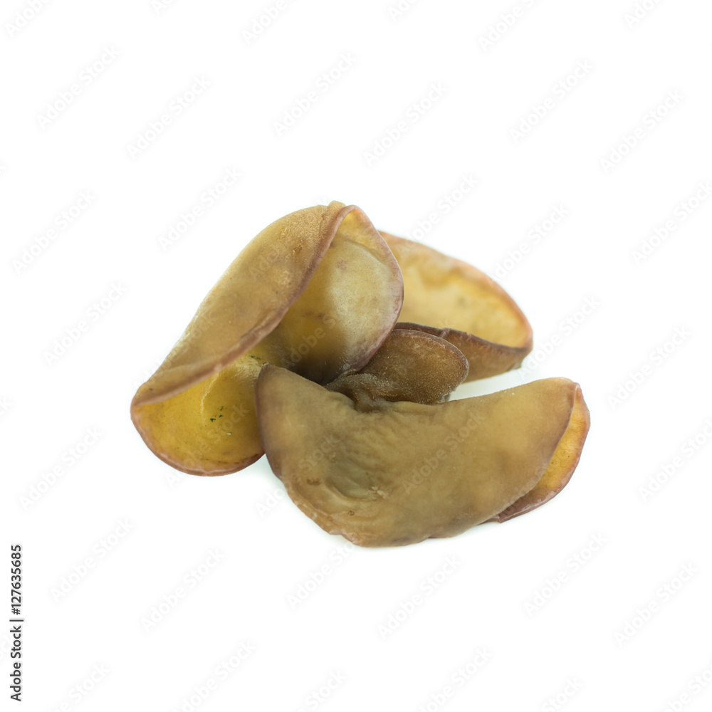 ear mushroom on white background ear mushroom on white background