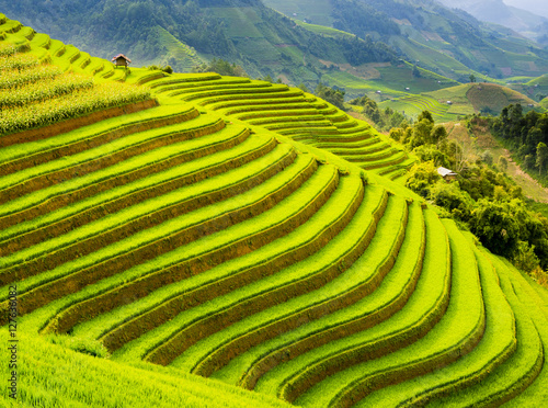 Photos Terraced rice field in the mountains of Mu Cang Chai, Yen Bai Province, northern