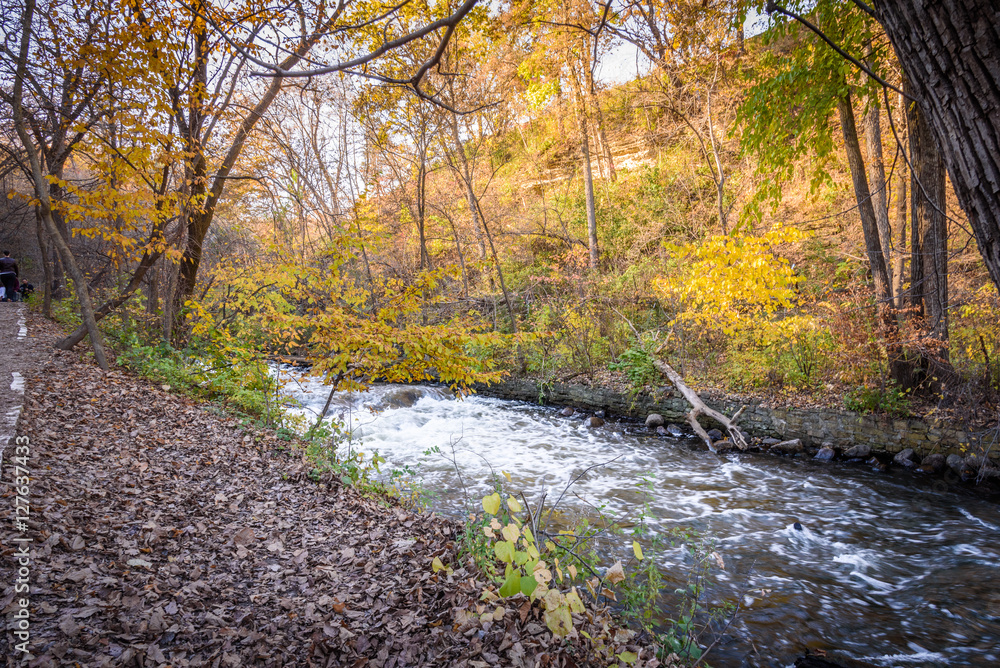 Autumn Leaves Along Minnehaha Creek in Minneapolis 6 Autumn Leaves Along Minnehaha Creek in Minneapolis 6