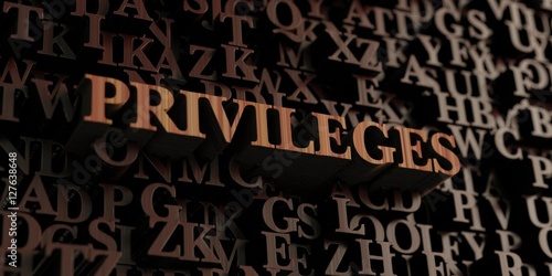 Privileges - Wooden 3D rendered letters/message. Can be used for an online banner ad or a print postcard.