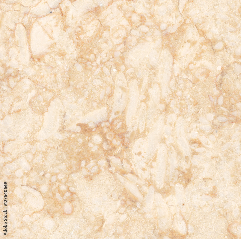 Brown marble texture background (High resolution)