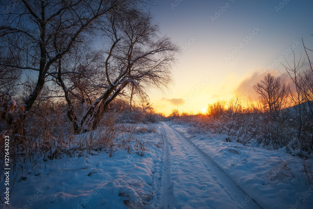 Beautiful winter landscape with sunrise sky