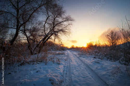 Beautiful winter landscape with sunrise sky, road and trees 