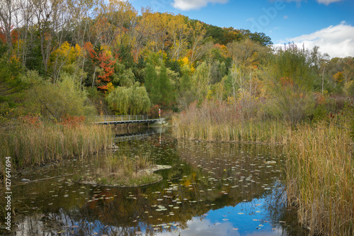 Photography Autumn parkland featuring a sun-lit pond, vivid fall colors on trees and bright blue sky