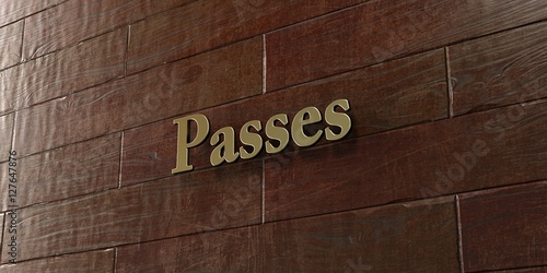 Passes - Bronze plaque mounted on maple wood wall - 3D rendered royalty free stock picture. This image can be used for an online website banner ad or a print postcard.