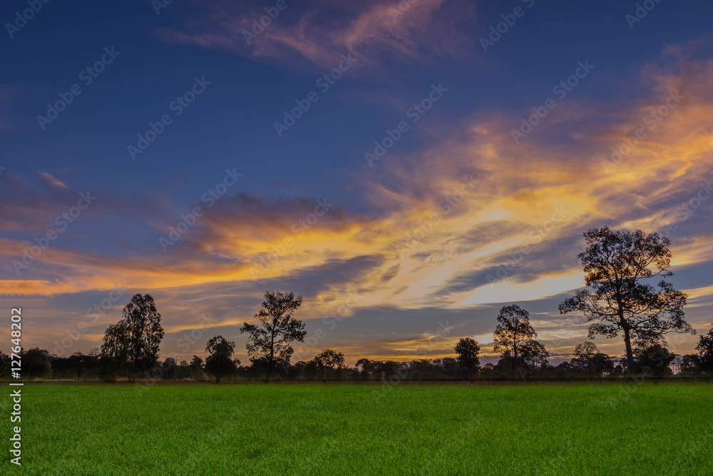 Abstract soft blurred the silhouette of the sunrise with the paddy rice field and the beautiful sky and cloud in the morning in Thailand. Abstract soft blurred the silhouette of the sunrise with the paddy rice field and the beautiful sky and cloud in the morning in Thailand.