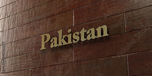 Pakistan - Bronze plaque mounted on maple wood wall - 3D rendered royalty free stock picture. This image can be used for an online website banner ad or a print postcard.