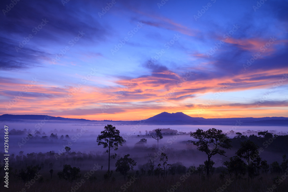 Fototapeta premium Misty morning sunrise at Thung Salang Luang National Park Phetch