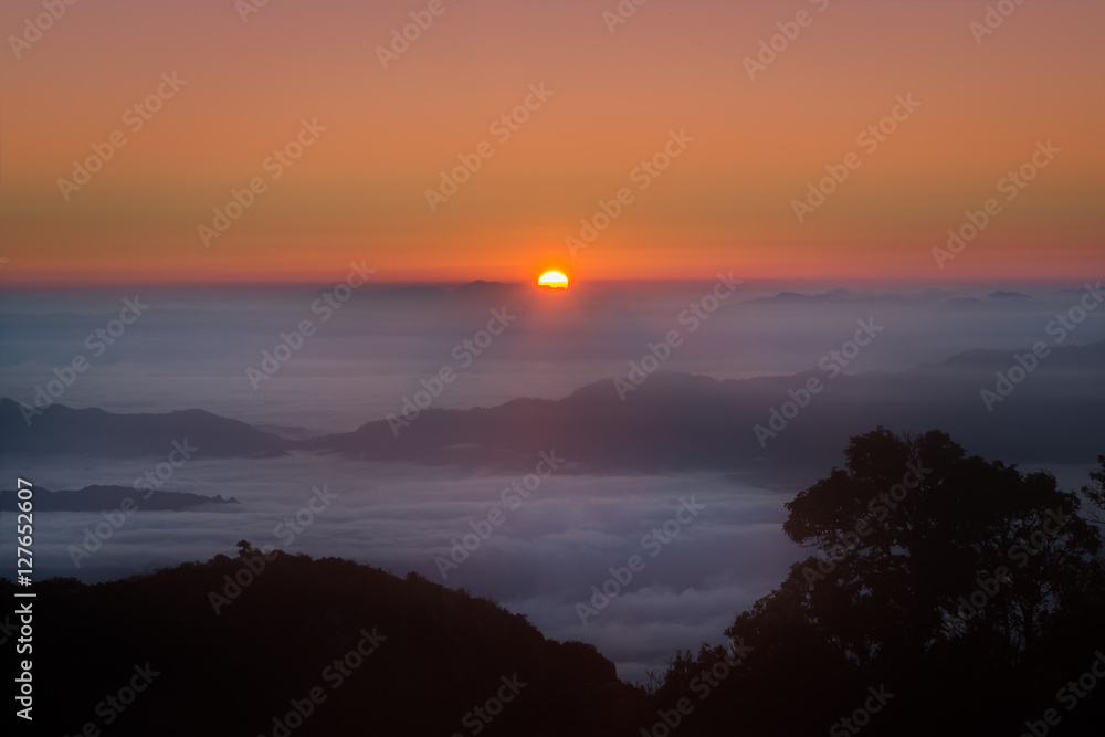 Mountain Mist in sunrise.